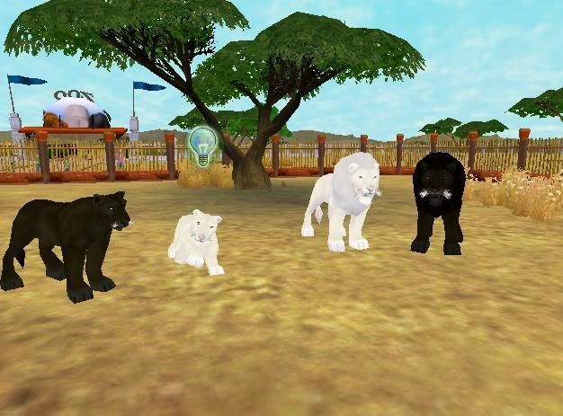original zoo tycoon pc download